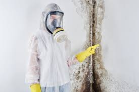 Best Comprehensive Air Testing for Mold Contaminants in Carrollton, KY